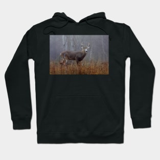 Buck - White-tailed Deer Hoodie